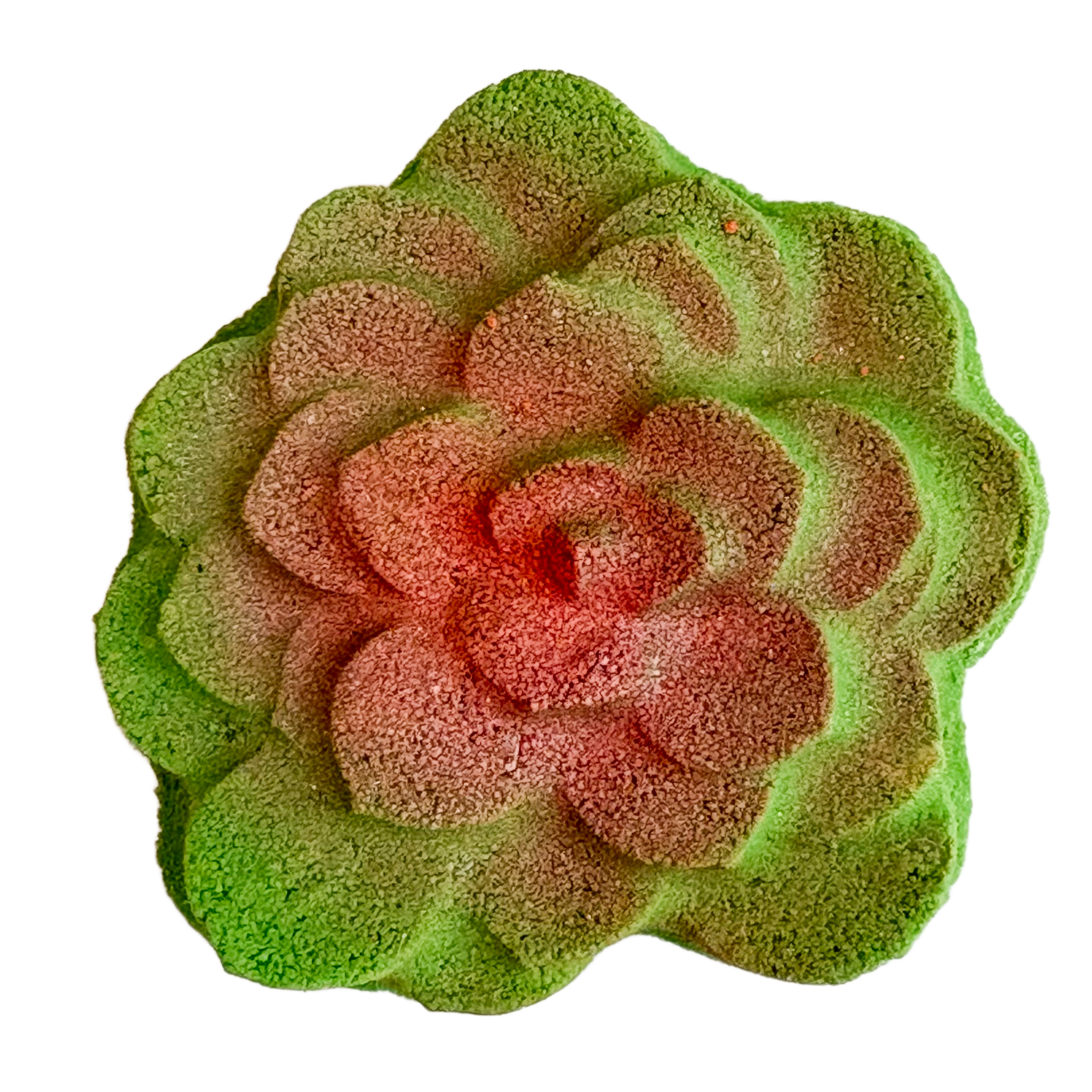 Cactus Bloom Bath Bomb